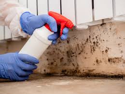 Best Comprehensive Air Testing for Mold Contaminants  in Hoopa, CA